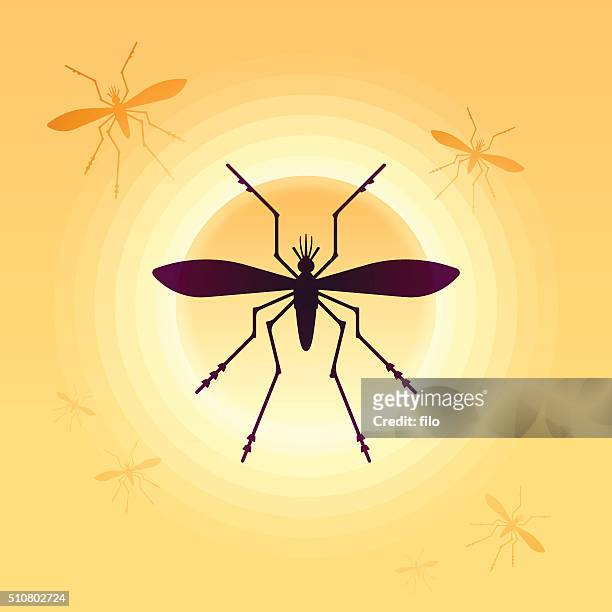 ilustraciones, imágenes clip art, dibujos animados e iconos de stock de mosquitos - dengue