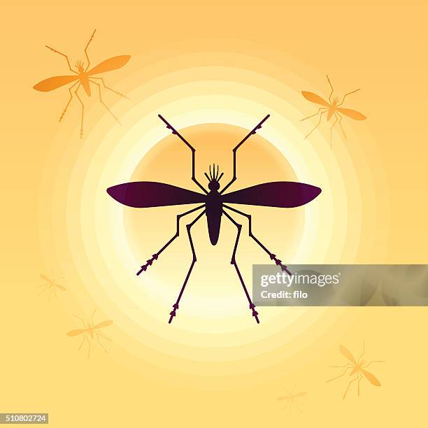 stockillustraties, clipart, cartoons en iconen met mosquitoes - dengue