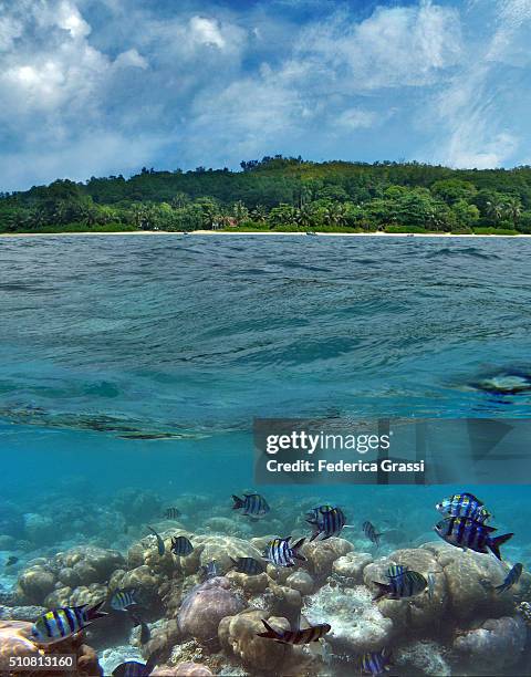 split level view of cerf island and its coral reef - mezzanine stockfoto's en -beelden