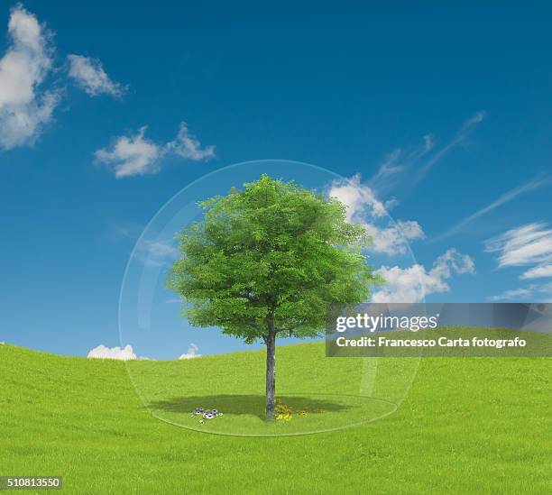 protection tree - single tree stock illustrations