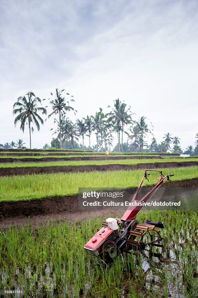 Cultivator used for ploughing paddy fields near Ubud, Bali, Indonesia