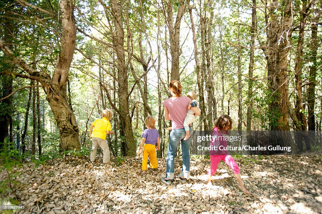 Family walking in forest