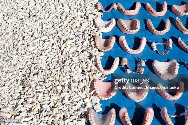 Triangular Tooth Pile 403 Teeth Pile Stock Photos, High-Res Pictures, and Images - Getty Images