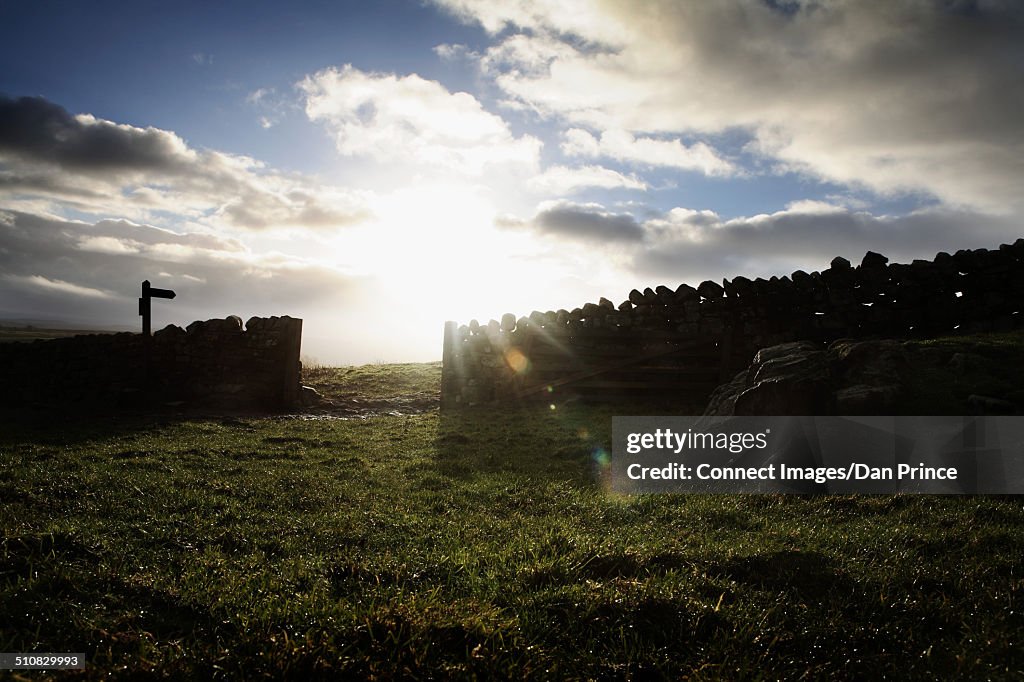 Dry stone wall in field