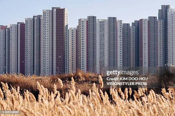 the wilderness, newly reclaimed land against new apartment town - songdo ibd stock pictures, royalty-free photos & images