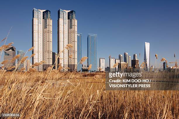 skyscrapers on the wilderness - songdo ibd stock pictures, royalty-free photos & images