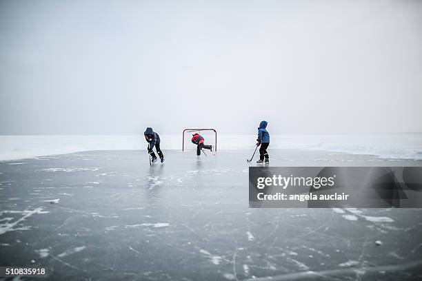 skating on a lake in canada - hockey net stock pictures, royalty-free photos & images