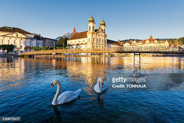 jesuitenkirche in luzern - jesuit church stock pictures, royalty-free photos & images