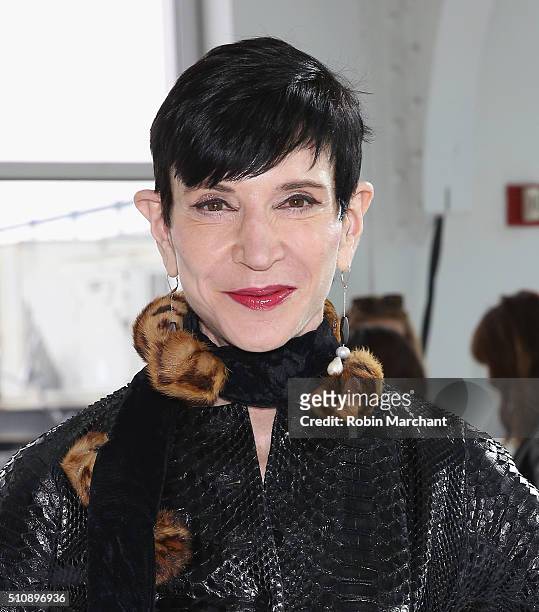 Amy Fine Collins attends Delpozo during Fall 2016 New York Fashion Week at Pier 59 Studios on February 17, 2016 in New York City.