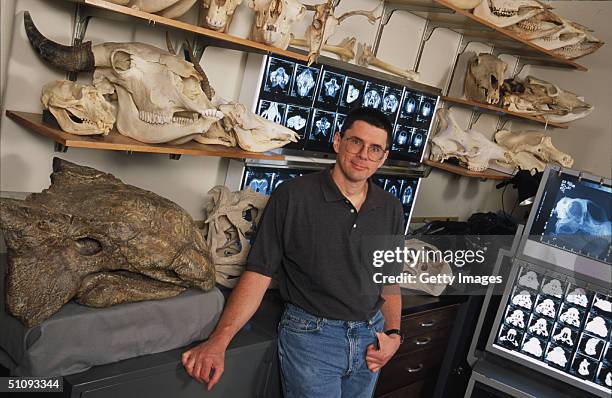 Lawrence M. Witmer, A Dinosaur Researcher At The College Of Osteopathic Medicine Of Ohio University Poses With Some Of His Subjets August 2, 2001 In...