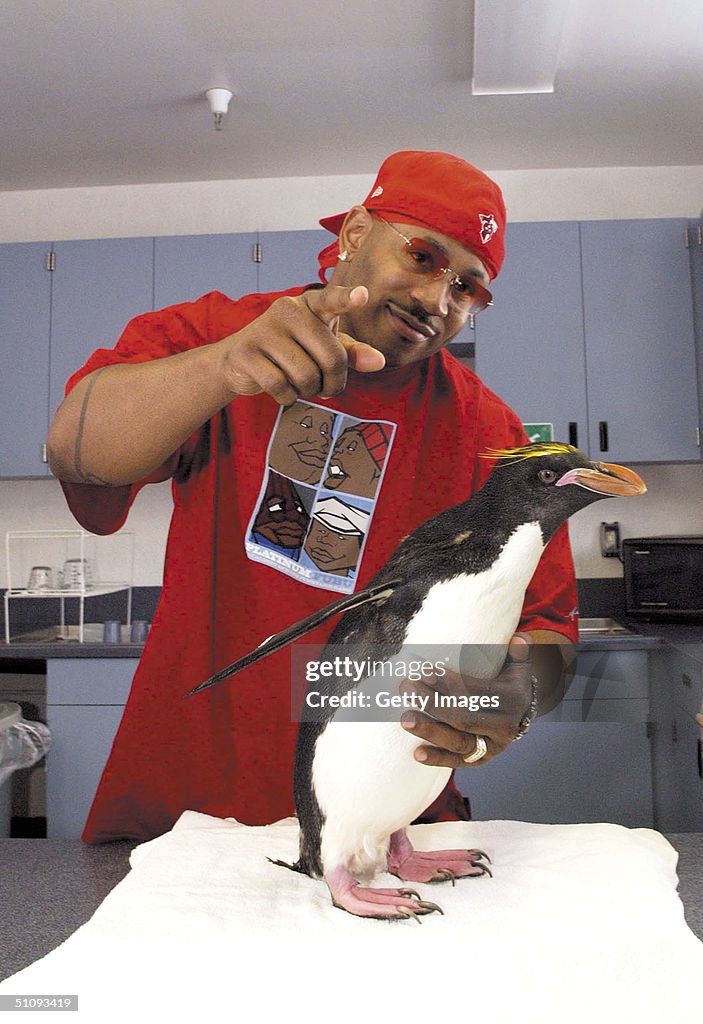 Rapper Ll Cool J Holds A Macaroni Penguin During A Behind-The-Scenes ...