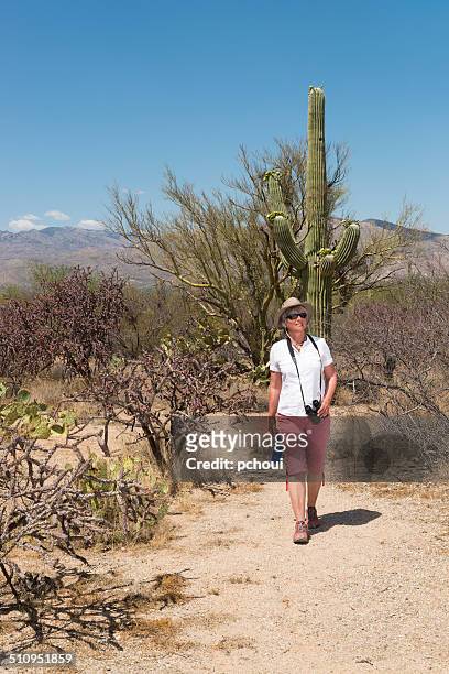 hiking in arizona - pima county stockfoto's en -beelden