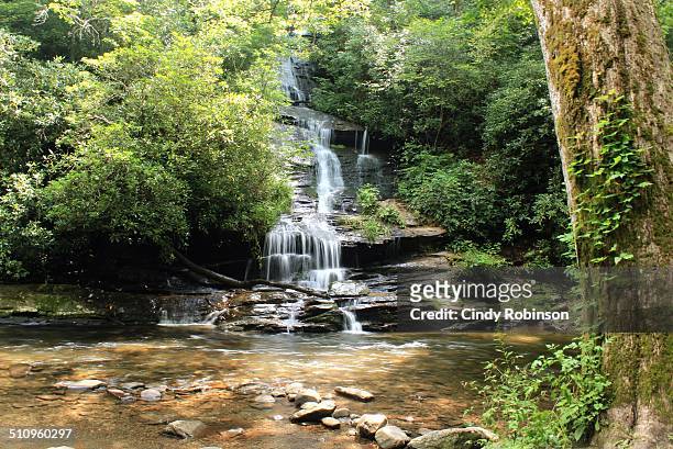 silky waterfall - bryson city north carolina stock pictures, royalty-free photos & images