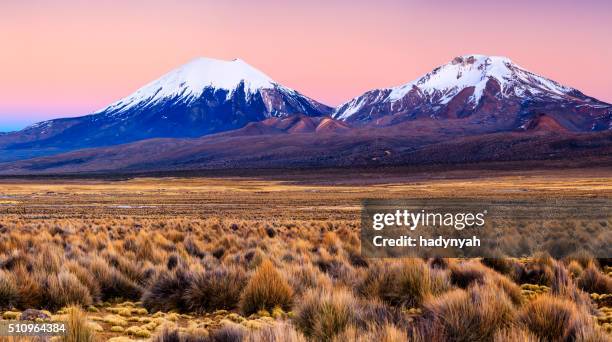 sonnenaufgang über parinacota vulkan nationalpark sajama, bolivien - andes stock-fotos und bilder