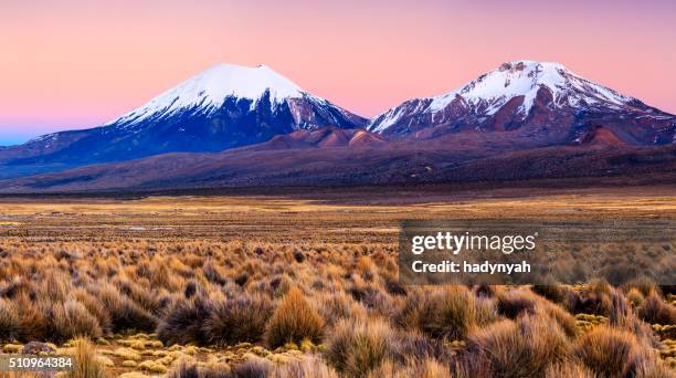 sunrise over parinacota volcano in sajama national park, bolivia - bolivia stock pictures, royalty-free photos & images