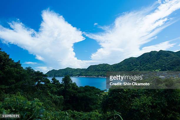 yakushima island - 鹿児島 ストックフォトと画像
