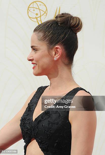 Amanda Peet attends the 67th Annual Primetime Emmy Awards on September 20, 2015 in Los Angeles, California.