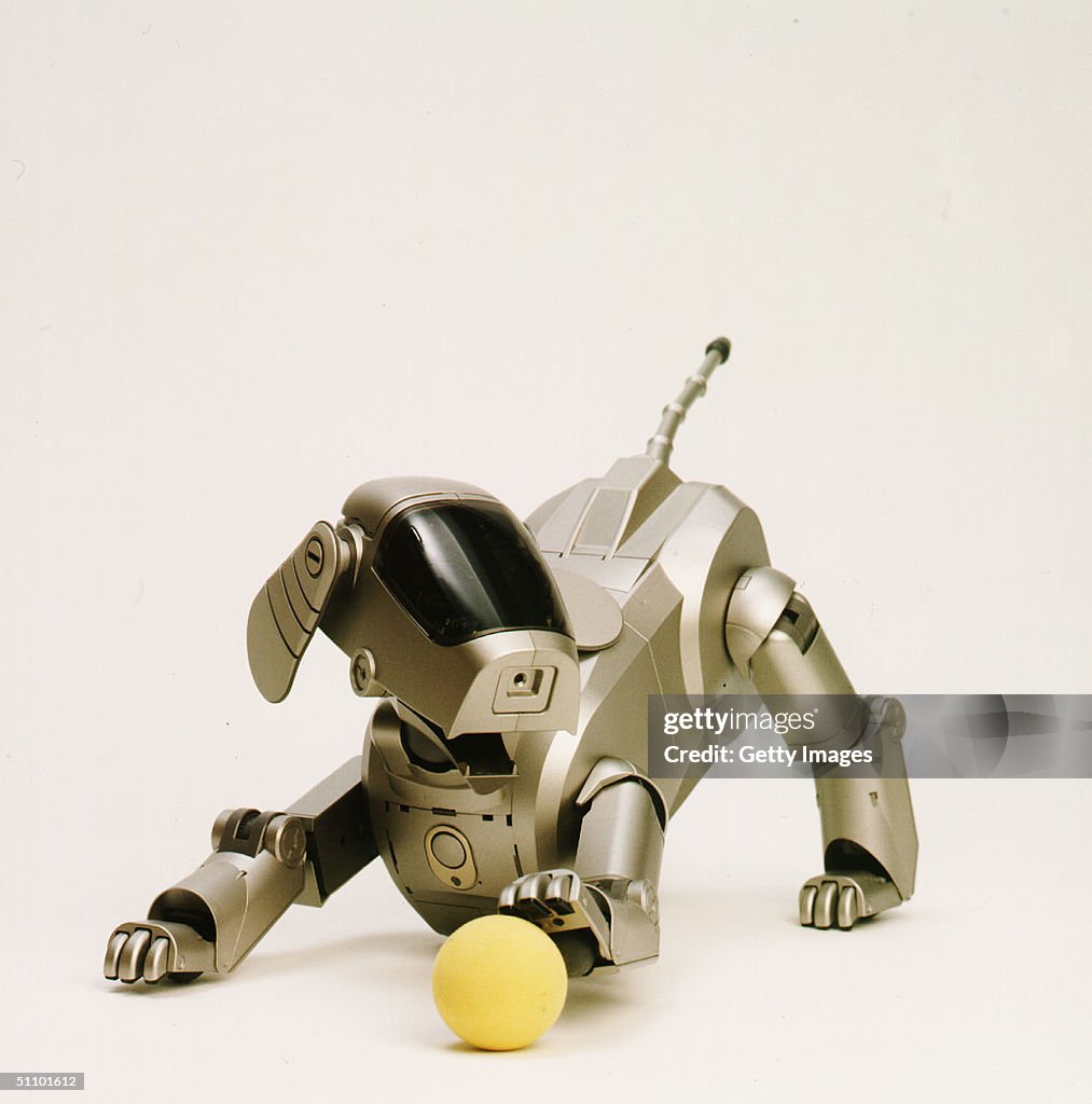 Sony Corporation Announces The Launch Of The Dog Shaped Autonomous Robot Called Aibo That Can Expr
