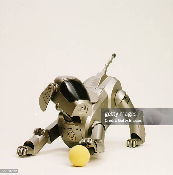 Sony Corporation Announces The Launch Of The Dog-Shaped Autonomous Robot Called "Aibo" That Can Express Various Emotions And Responsed To External...