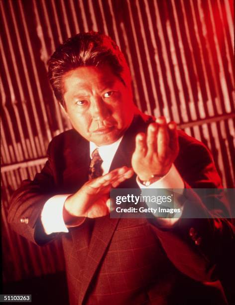 Sammo Hung Stars In "Martial Law." . Twentieth Century Fox.