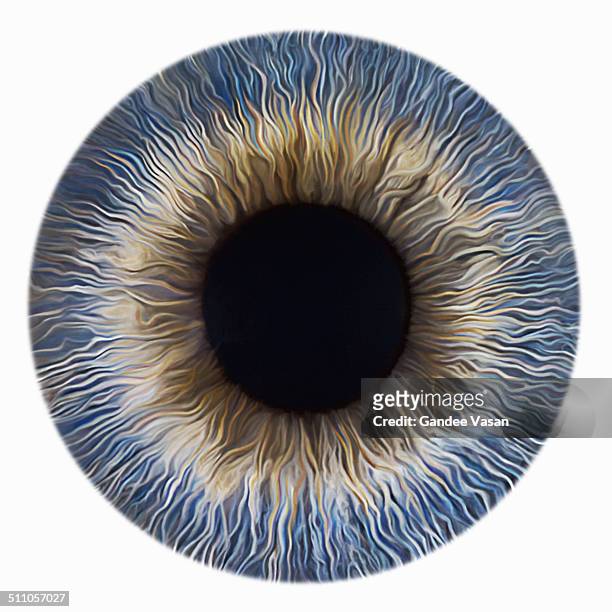 blueiris - eyeball fotografías e imágenes de stock