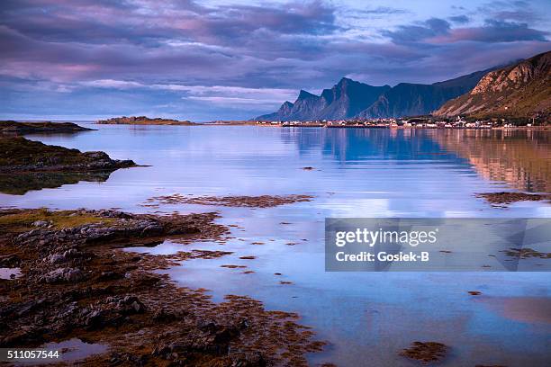 lofoten, landscape, ramberg, norway - scandinavian descent stock pictures, royalty-free photos & images