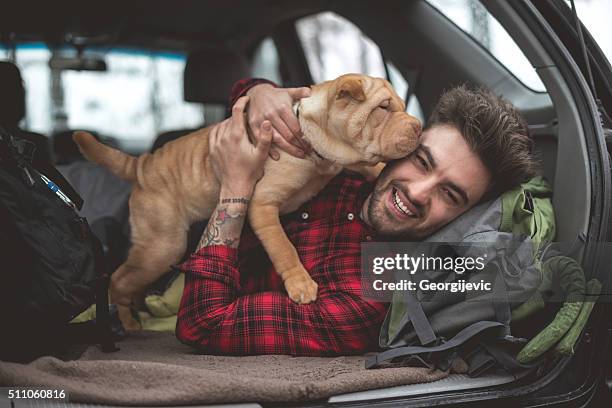 nichts aber love - animal car stock-fotos und bilder