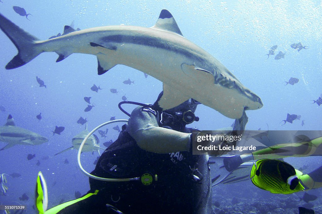 Underwater Scenes