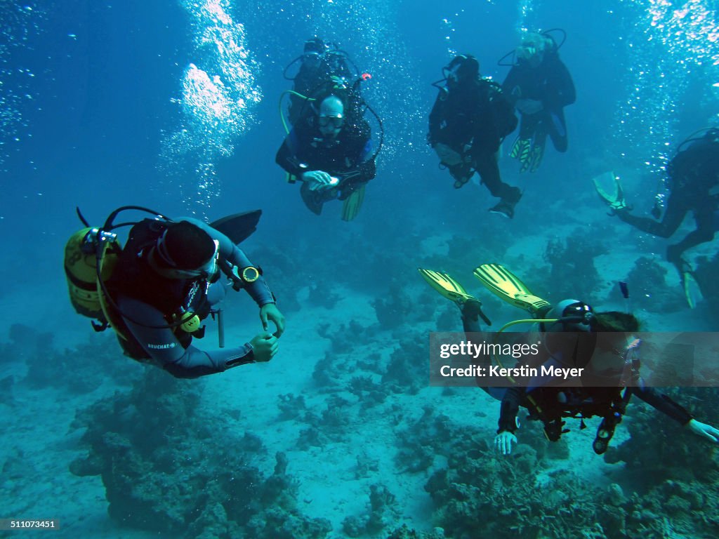 Underwater Scenes