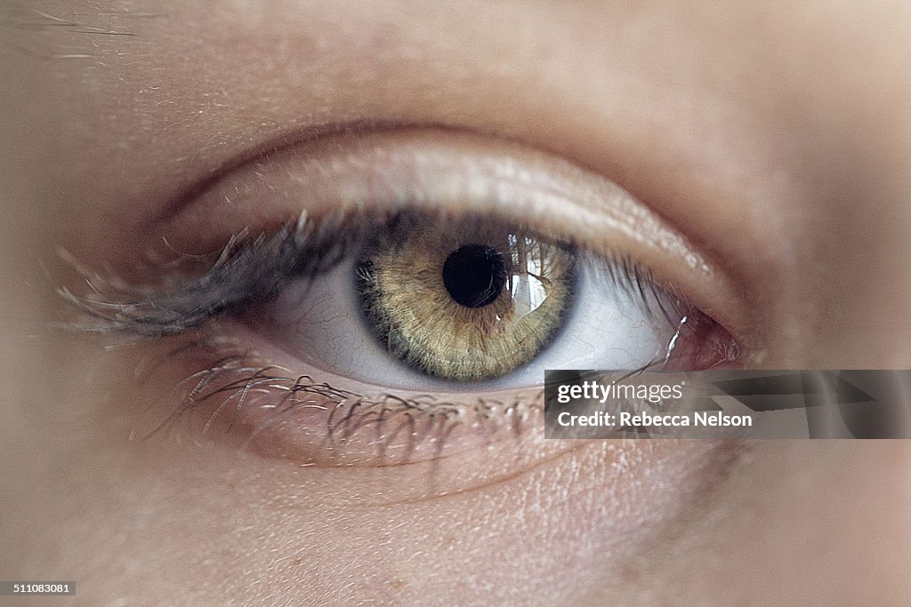 Macro shot of child's hazel eye