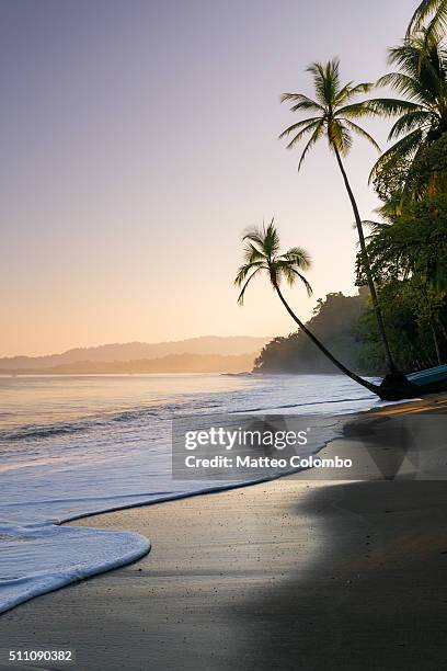 sunset at the beach, baya drake, osa peninsula, costa rica - bay of water stock pictures, royalty-free photos & images