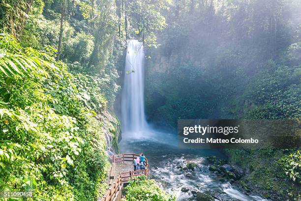 la paz waterfall in the lush rainforest of costa rica - costa rica waterfall stock pictures, royalty-free photos & images