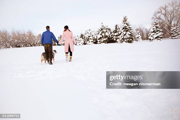 man woman and dog walking in snow, holding hands - longmont colorado stock pictures, royalty-free photos & images