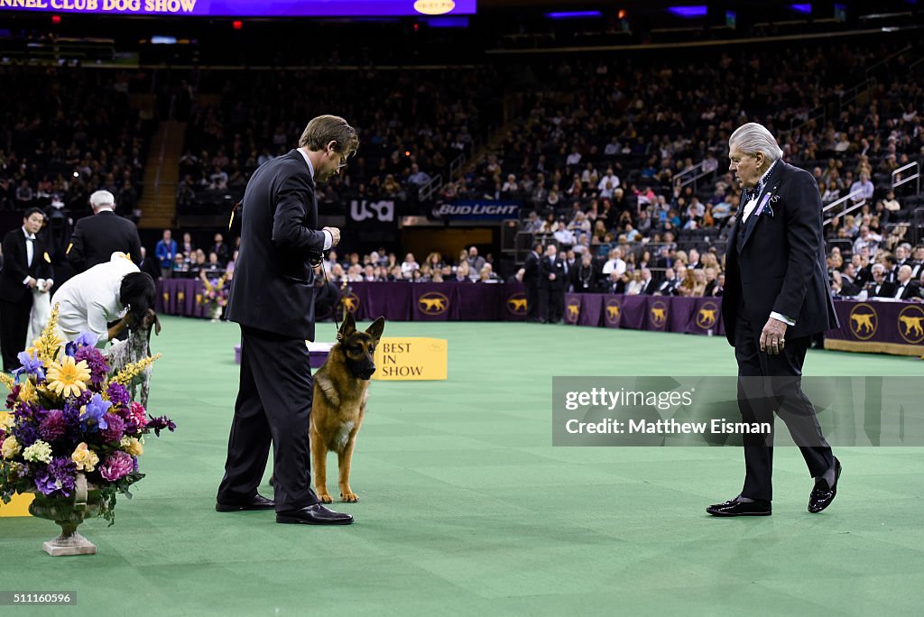 2016 Westminster Kennel Club Dog Show