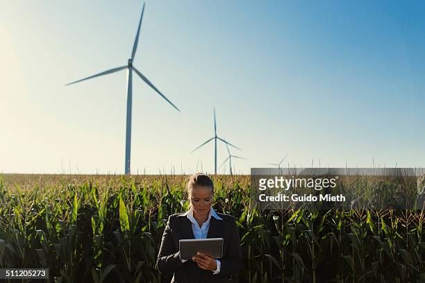 businesswoman using tablet pc outside. - longeville sur mer stock pictures, royalty-free photos & images