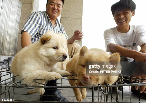 Two men try to sell puppys on a street in Beijing, 28 July 2004. Unlicensed vendors sell all manner of animals on Beijing streets most of which are...