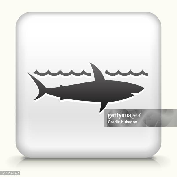 square button with shark - toy shark stock illustrations