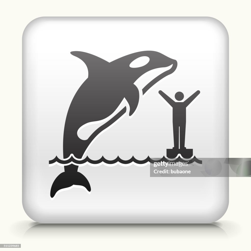 Botón cuadrado con Orca