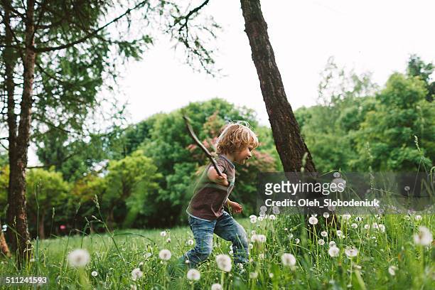 little boy in the park - woodland stockfoto's en -beelden