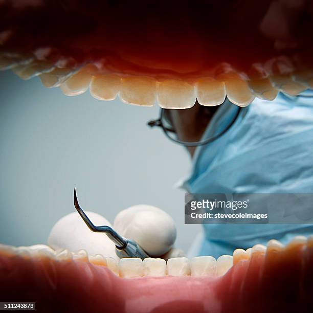 dentist - inside human mouth stock pictures, royalty-free photos & images