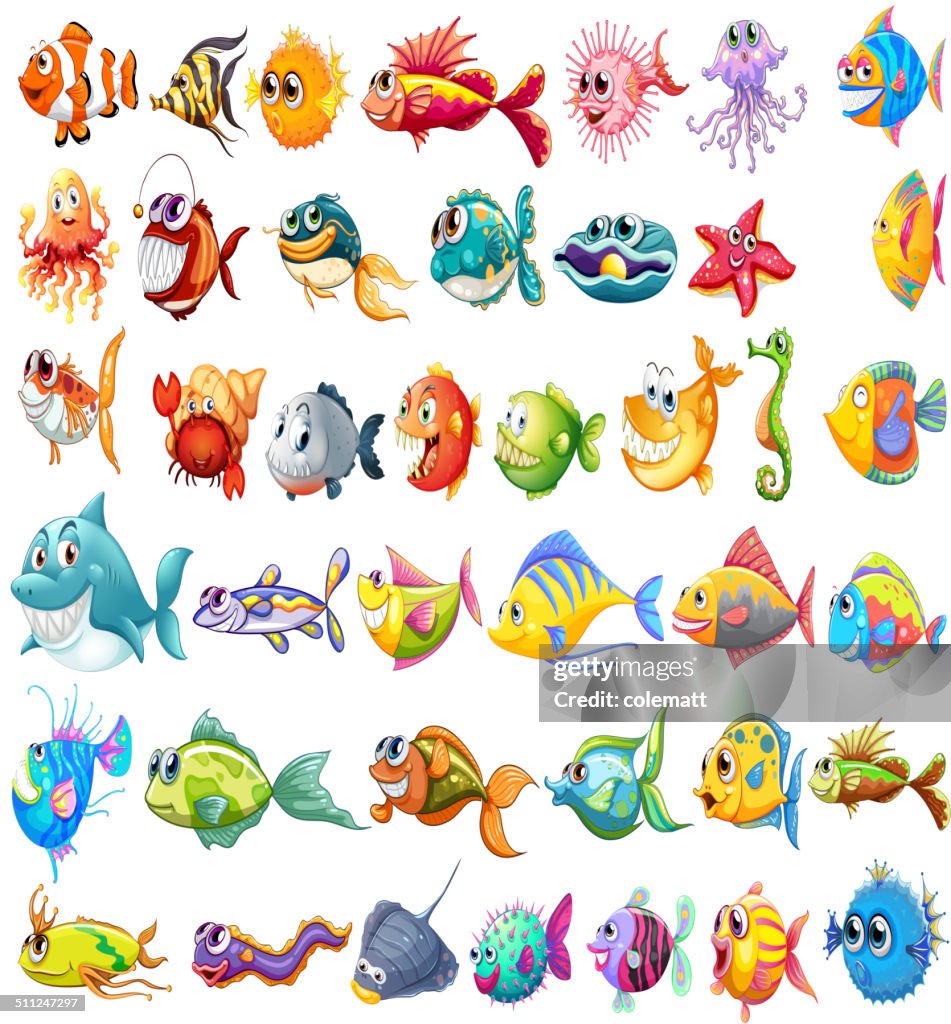 Fish Collection Drawing Fish Collection High-Res Vector Graphic - Getty Images