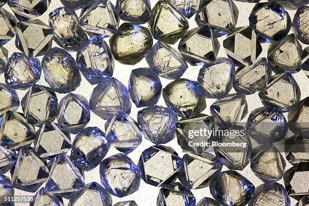 Rough diamonds sit on a sorting table during the grading process at the Yakutsk Diamond Trading Enterprise , operated by Alrosa PJSC, in Yakutsk,...
