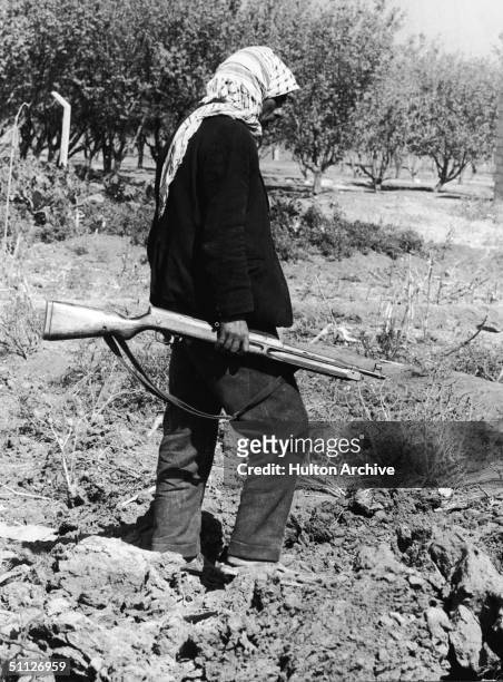 Syrian soldier in an orchard wearing a kaffiyeh and carrying a Czech-built Vz. 52 semi-automatic rifle, October 20, 1973.