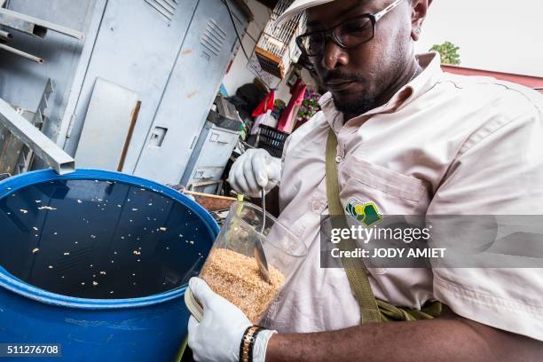 Member of the Collectivite Territoriale de Guyane uses BTI biological control agents to destroy mosquito larvae during an operation against the zika...
