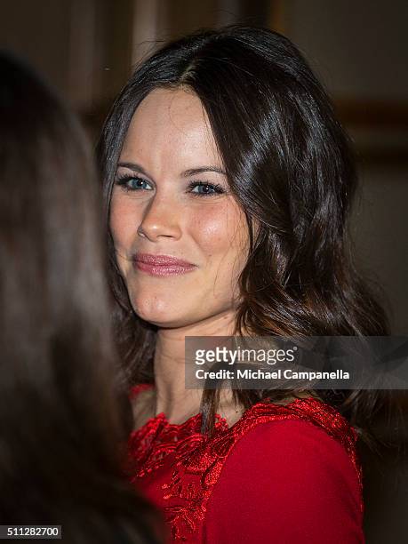 Princess Sofia of Sweden attends a formal gathering at the Royal Swedish Academy of Fine Arts on February 19, 2016 in Stockholm, Sweden.