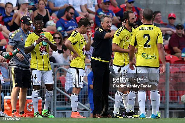 Wellington Phoenix team mates celebrate a goal during the round 20 A-League match between the Newcastle Jets and Wellington Phoenix at Hunter Stadium...