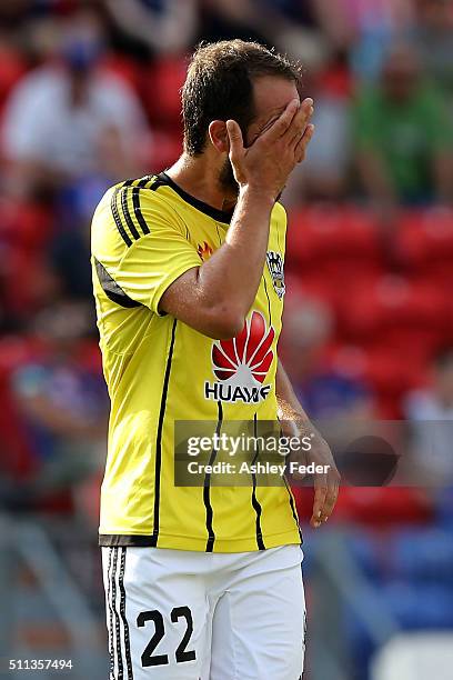 Andrew Durante of the Phoenix looks dejected after a near miss at goal during the round 20 A-League match between the Newcastle Jets and Wellington...