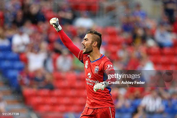 Mark Birighitti of the Jets celebrates the win during the round 20 A-League match between the Newcastle Jets and Wellington Phoenix at Hunter Stadium...