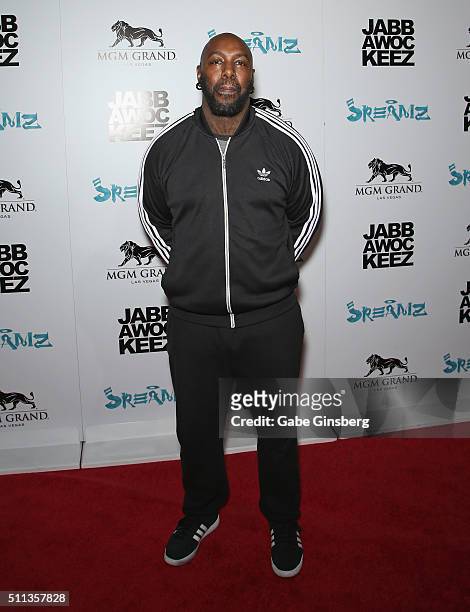 Singer/songwriter Sleepy Brown attends the grand opening of the Jabbawockeez dance crew's show "JREAMZ" at MGM Grand Hotel & Casino on February 19,...