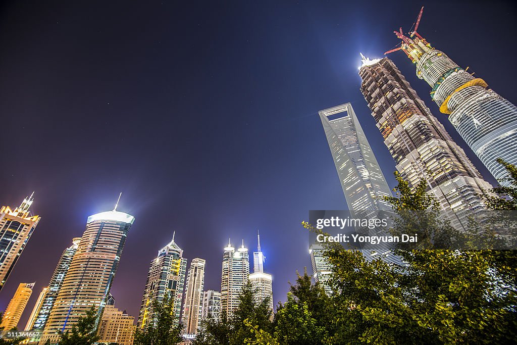 Shanghai Skyline at Night